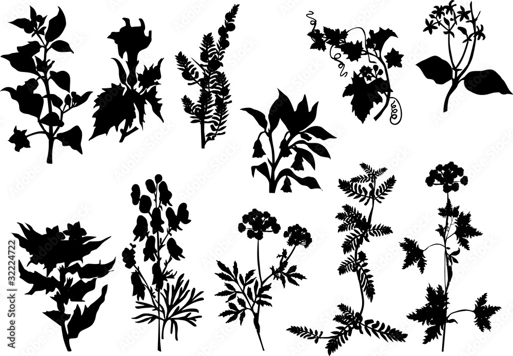Plakat set of black on white plants
