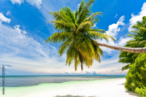 Fototapeta Naklejka Na Ścianę i Meble -  seychelles plage cocotier
