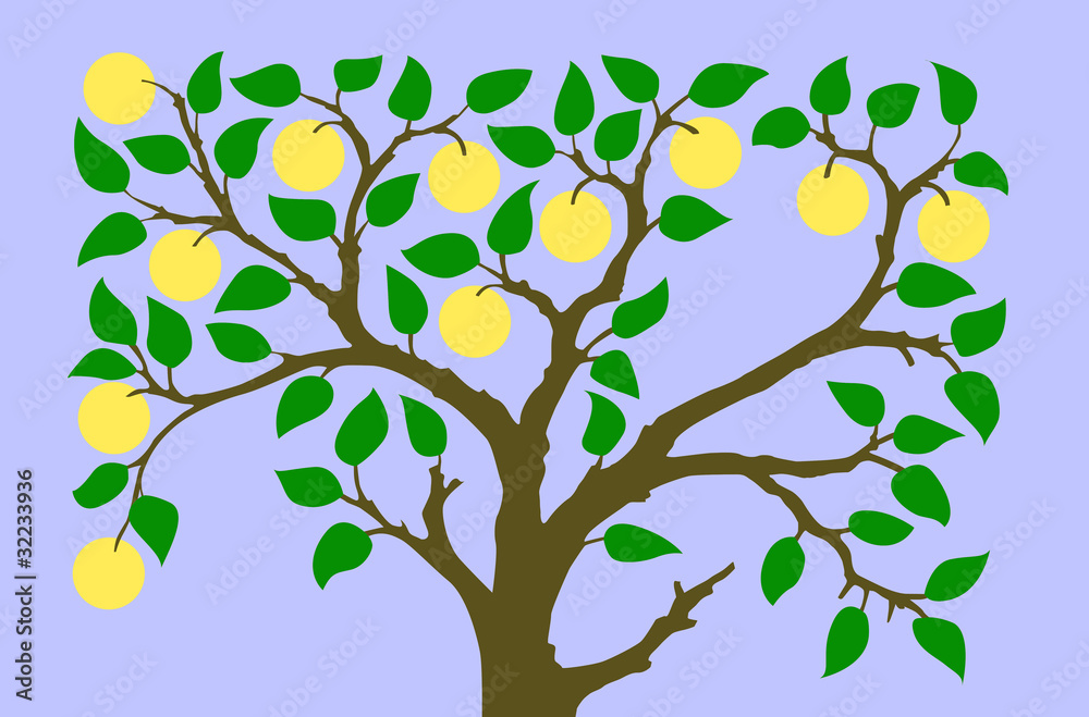 silhouette to aple trees on turn blue background silhouette to aple trees on turn blue background