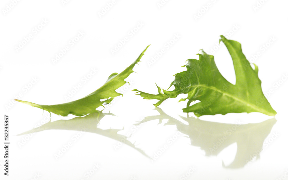 Obraz premium Rucola Gemüse