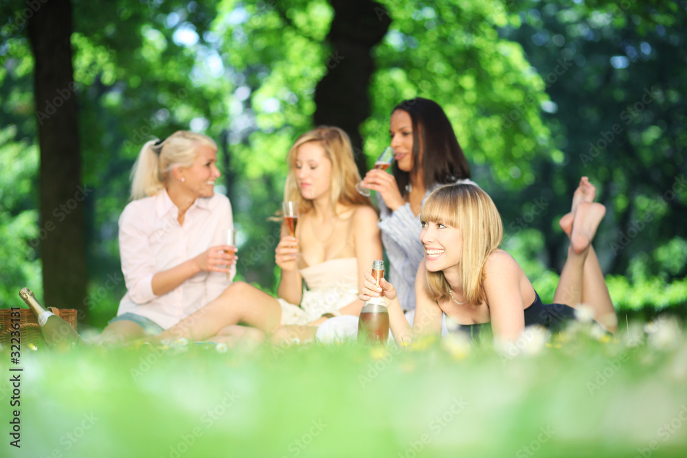 Picknick mit Prosecco Picknick mit Prosecco
