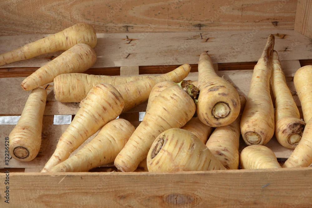 Weiße Rüben Stock-Foto | Adobe Stock