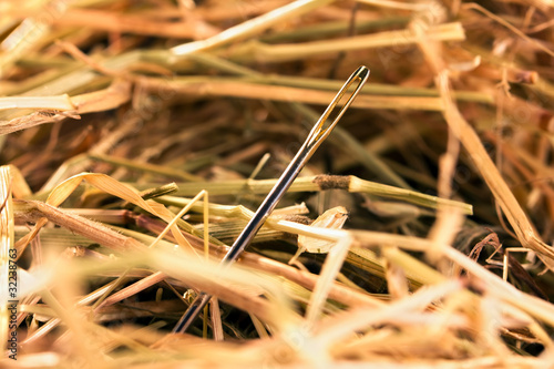 Valokuvatapetti Needle in a haystack
