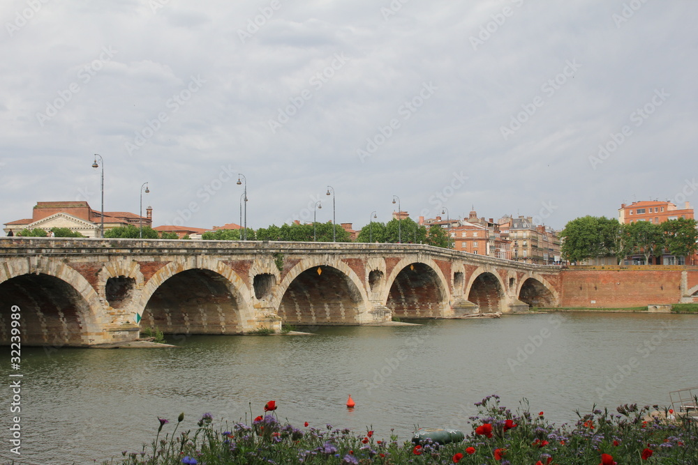 Fototapeta premium Pont Neuf à Toulouse