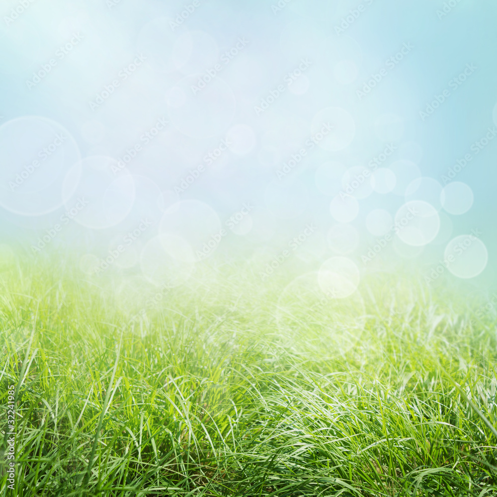 Spring nature background with grass and bokeh lights.