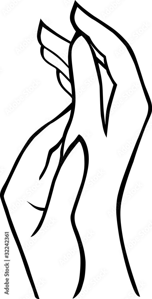 Woman's hands isolated on white background. Woman's hands isolated on white background.