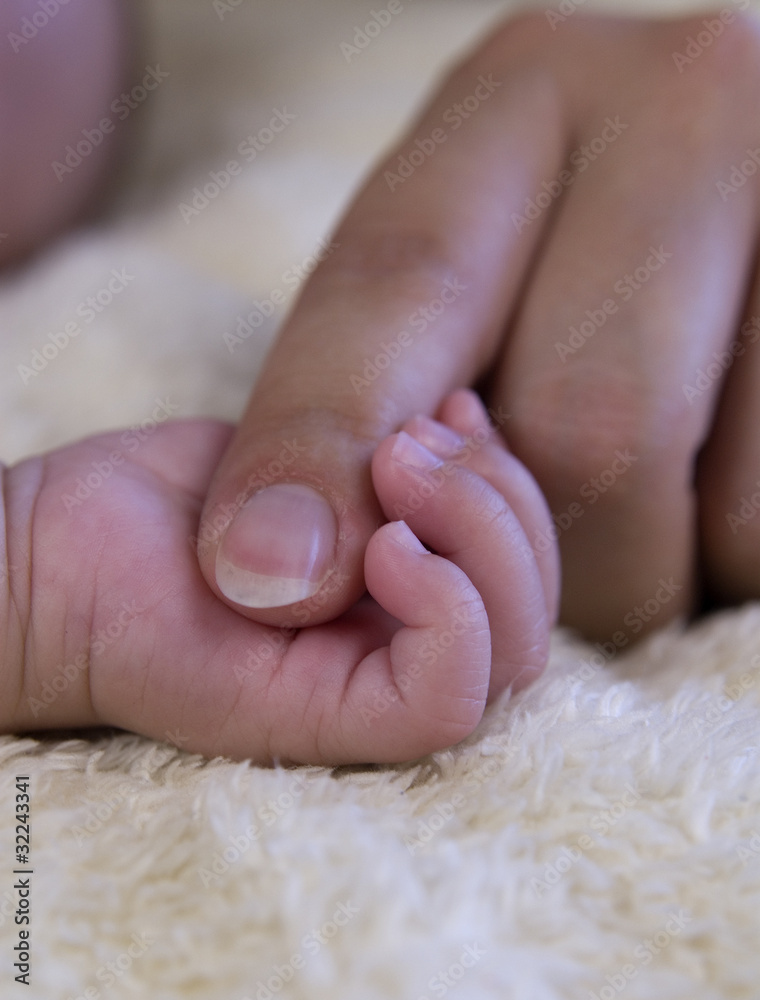 Babyhand Babyhand