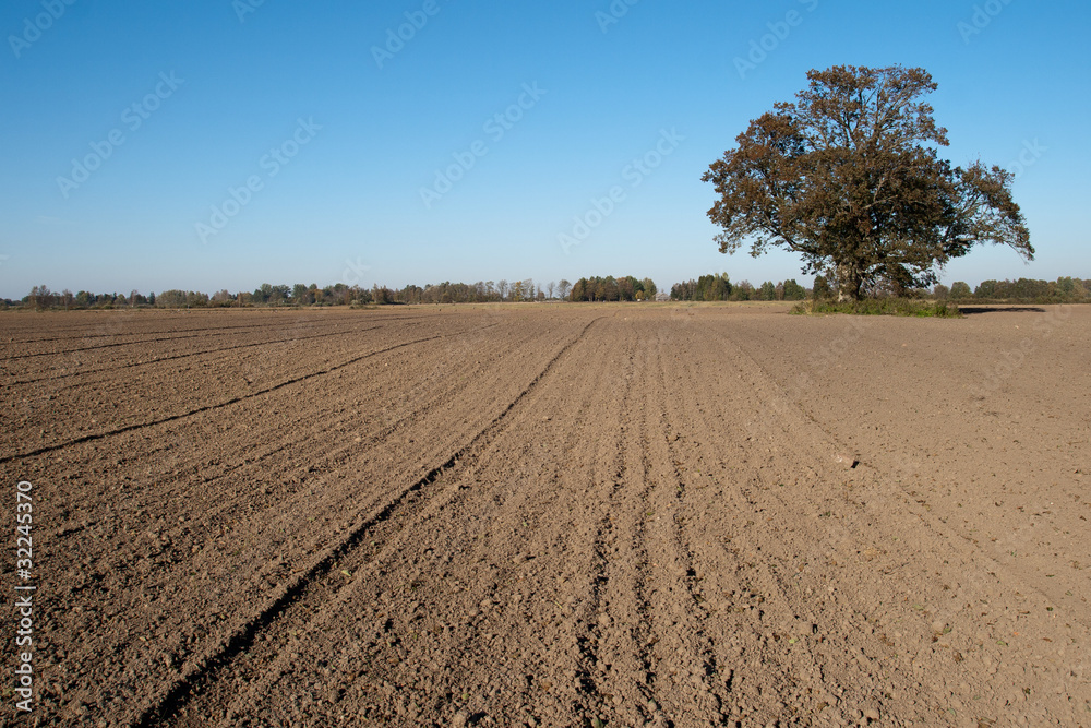 Plowed field