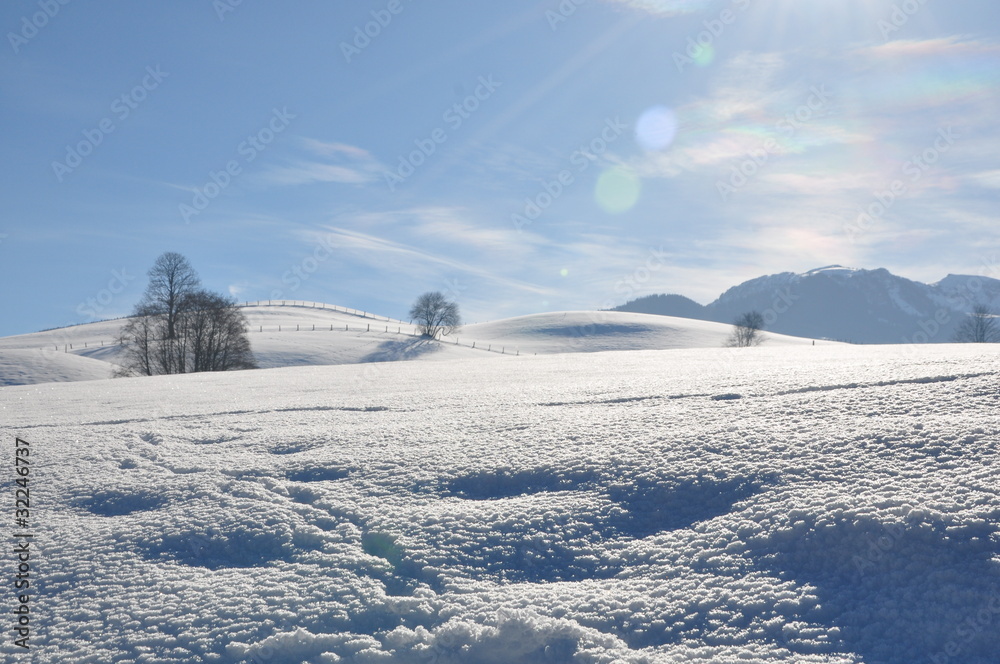 Winter Wonderland - Saalfelden, AT Feb. 2011