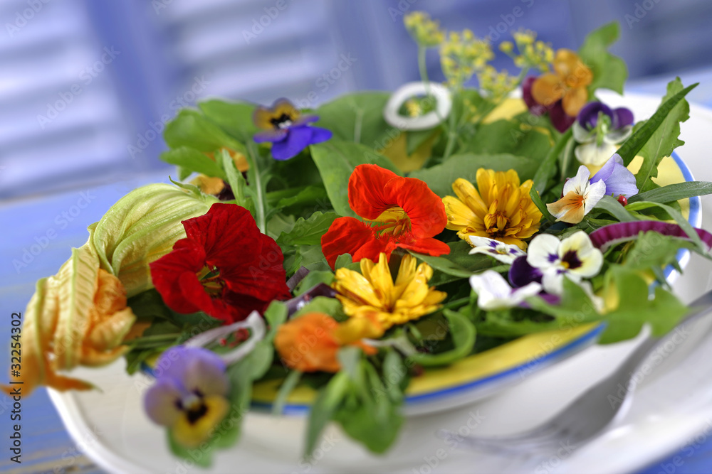 Salade de fleurs- Capucines,pensées,courgettes,soucis
