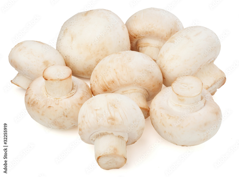 Champignon mushrooms on white backround Champignon mushrooms on white backround