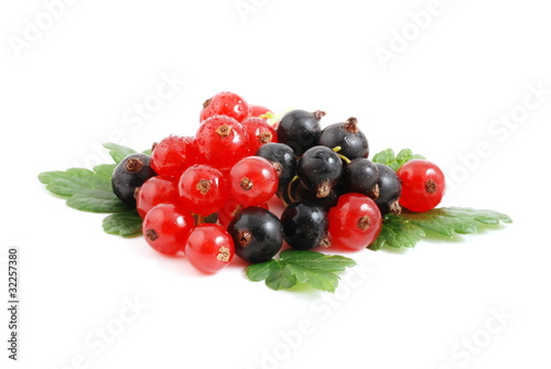 Johannisbeeren