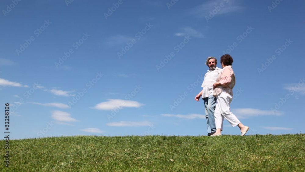 couple goes up grassy hill, holding hands and talking couple goes up grassy hill, holding hands and talking