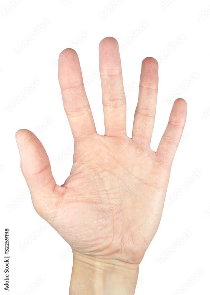 number five made with hands on white background number five made with hands on white background