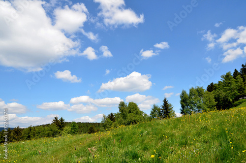 Landschaft Blumenwiese Wolken Himmel