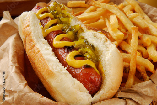 Fotografie, Obraz Hot dog and fries