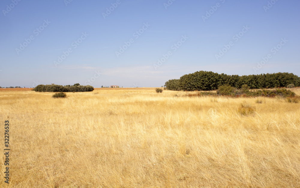 Obraz premium Field after harvest