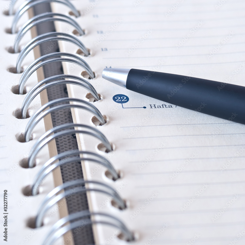 Organizer and pencil