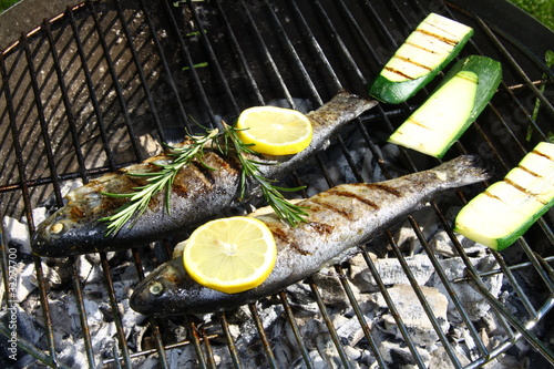 grillfisch