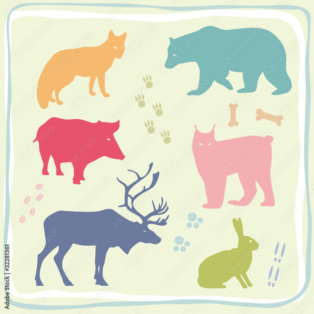 Colored Wild Animals' Set Colored Wild Animals' Set