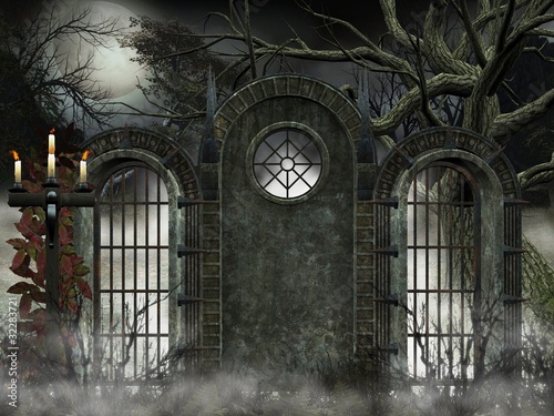 sfondo gotico - cancello con nebbia photo