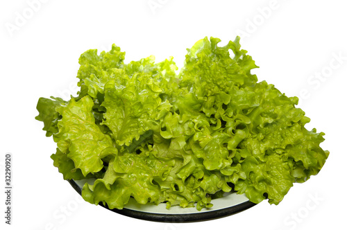 Fresh bunch of lettuce