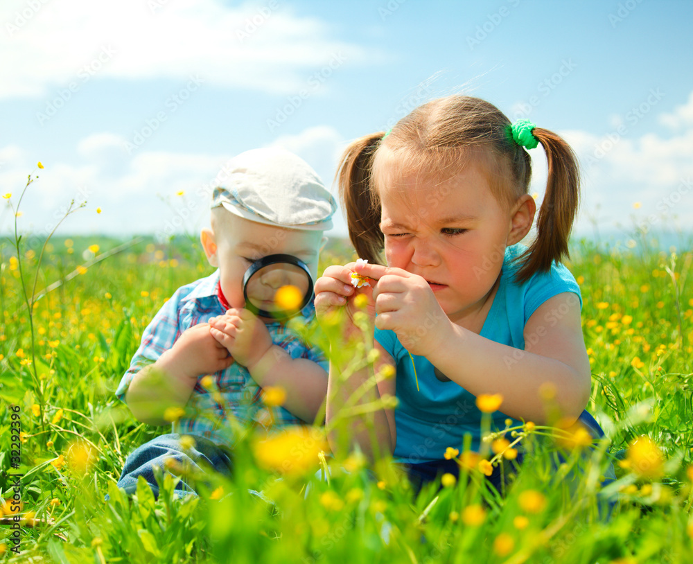 Children are playing on green meadow Children are playing on green meadow