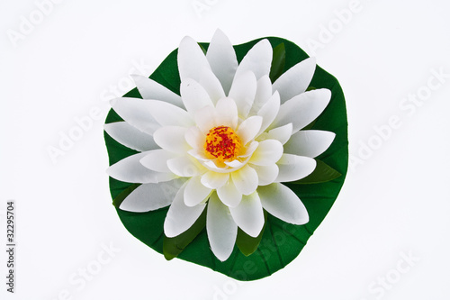 Artificial White Lotus on a White Background