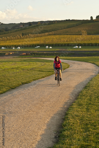 Female cyclist in golden light on path by vineyard