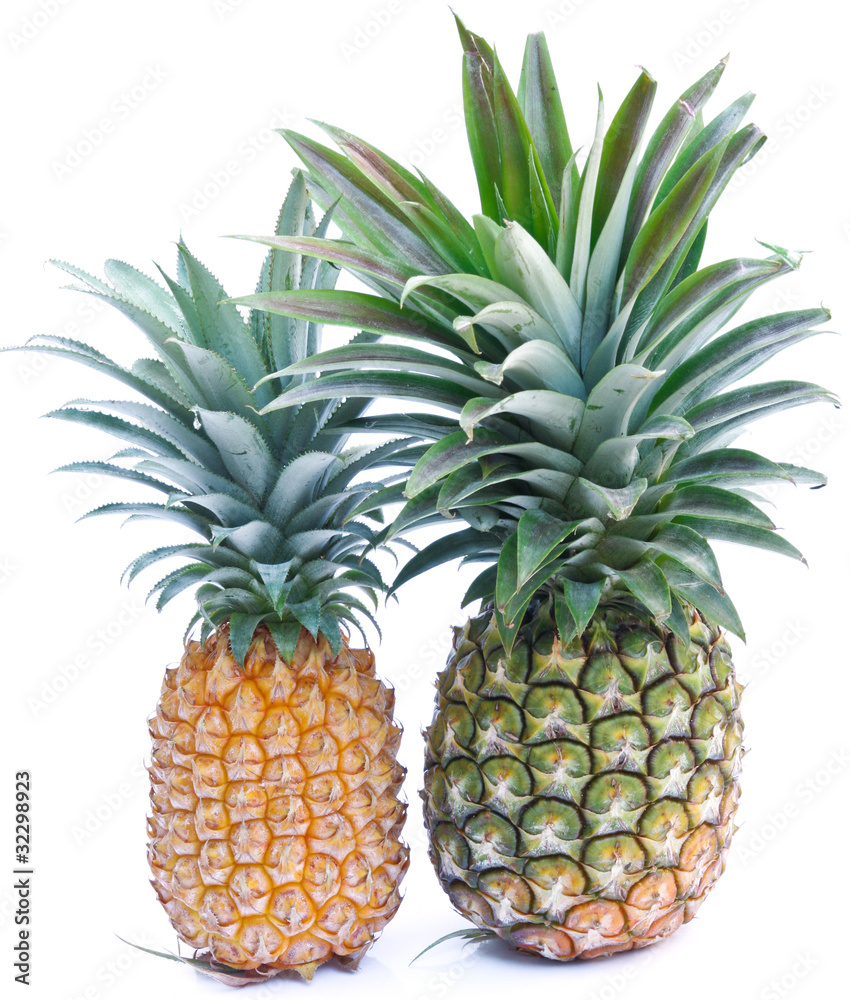 ananas Victoria et ananas hybride ananas Victoria et ananas hybride