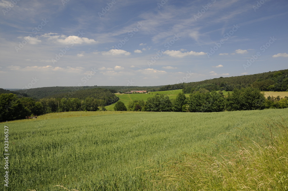 Landschaft im Odenwald