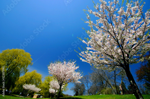 Canvas Print A Beautiful Spring Day in the Park