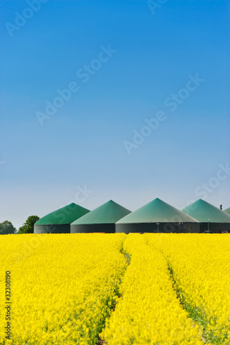 Biogasanlage hinter einem Rapsfeld 4