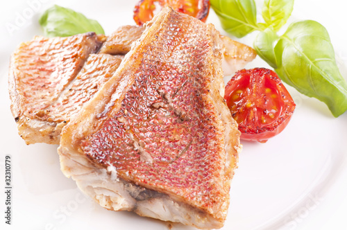 Slika na platnu Red snapper Steak