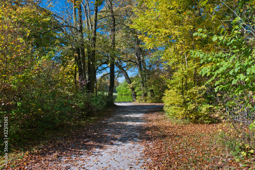 Walk in the park photo