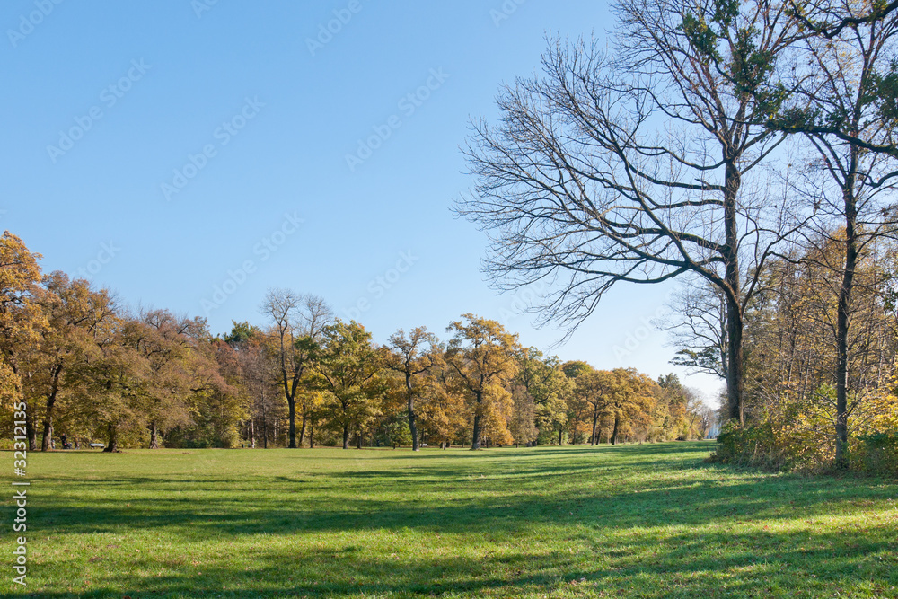 Meadow