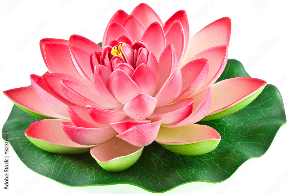 Obraz premium sztuczny różowy kwiat lilii wodnej