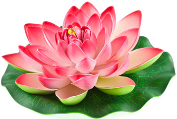 Papier peint photo Fleur de lotus Nénuphar rose artificiel délicat  © Unclesam