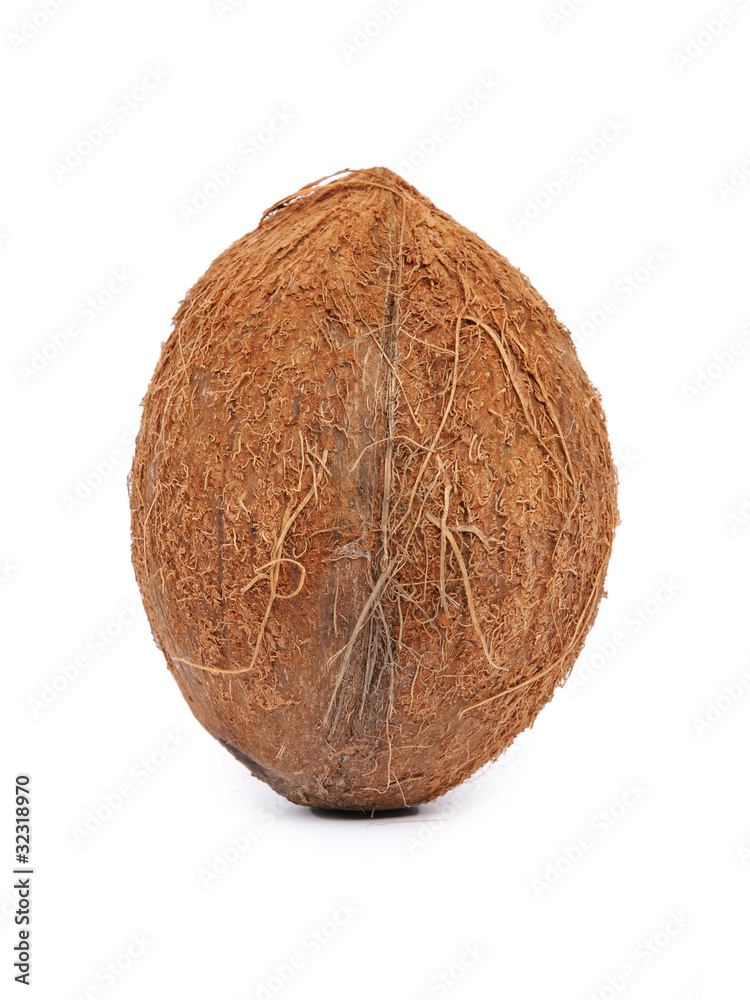 Coconut