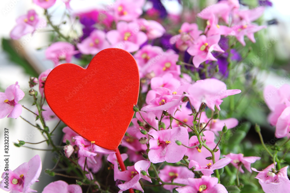 Coeur Rouge Coeur Rouge