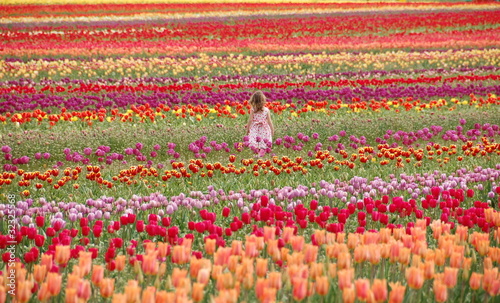 A girl walking in tulip field