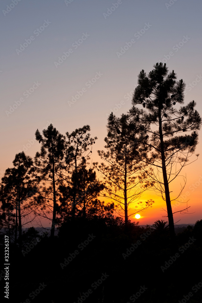 Obraz premium Sunset behind trees
