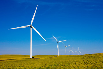 Keuken achterwand Molens Windturbinepark bij heldere hemel  © Andy