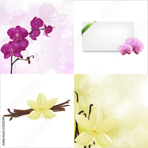 Fototapeta Naklejka Na Ścianę i Meble -  Orchids And Vanilla Set