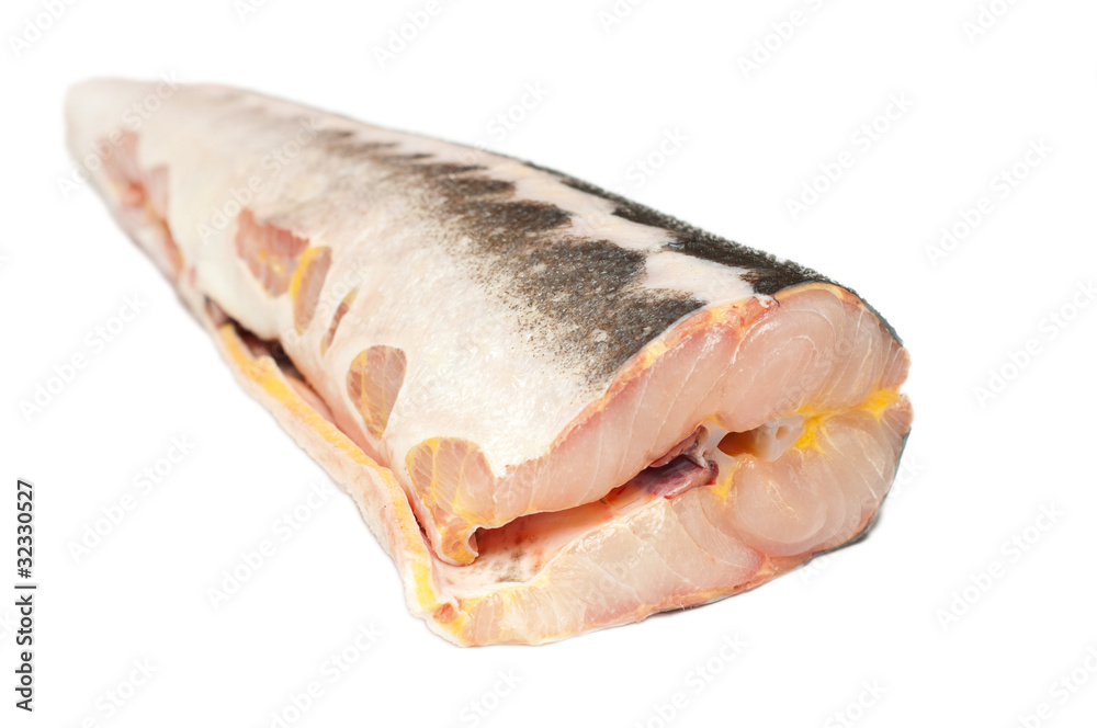 Sturgeon. Close-up. Isolated on a white background. Sturgeon. Close-up. Isolated on a white background.