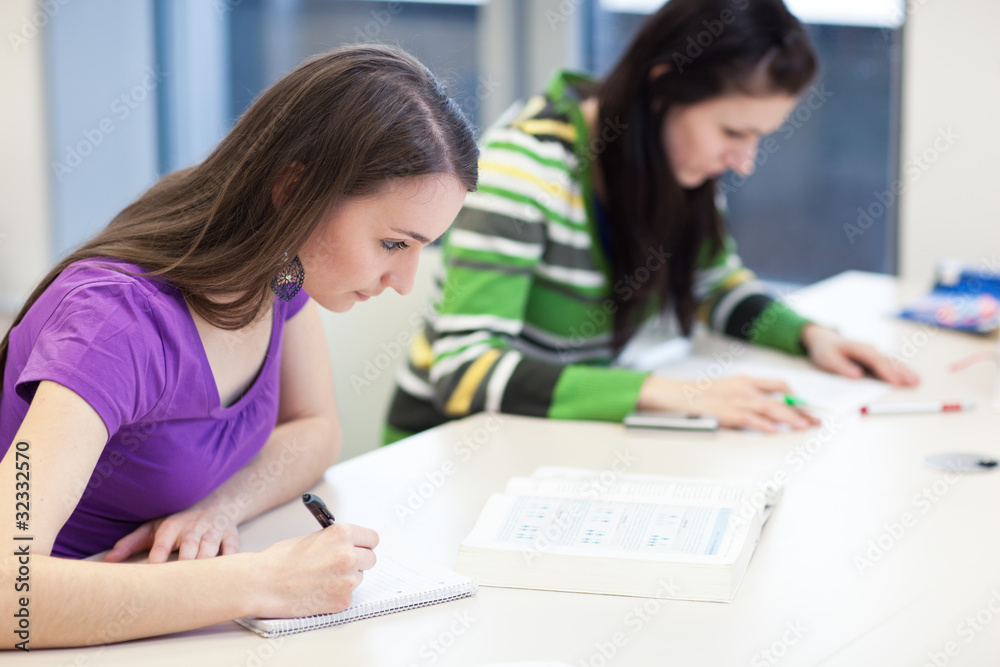 two pretty, young college students in a library two pretty, young college students in a library