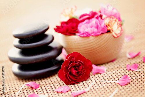 carnations and pebbles