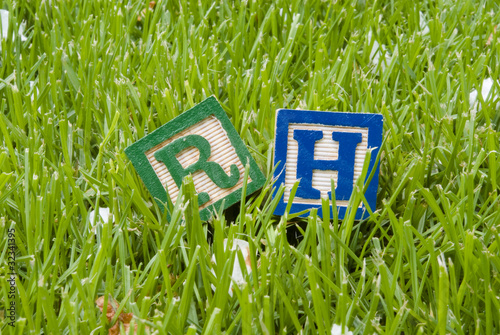 Obraz na plátně Rh letters on the grass