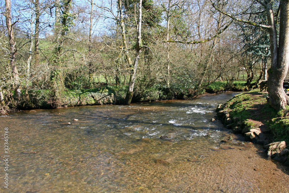 River Dart, Devon