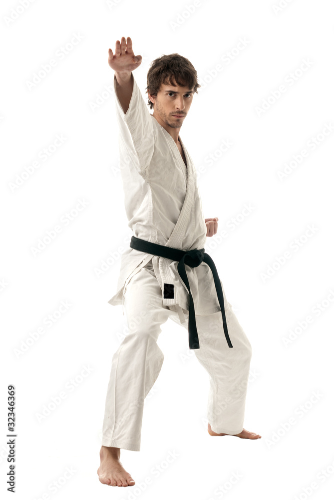 Karate male fighter young isolated on white background Karate male fighter young isolated on white background
